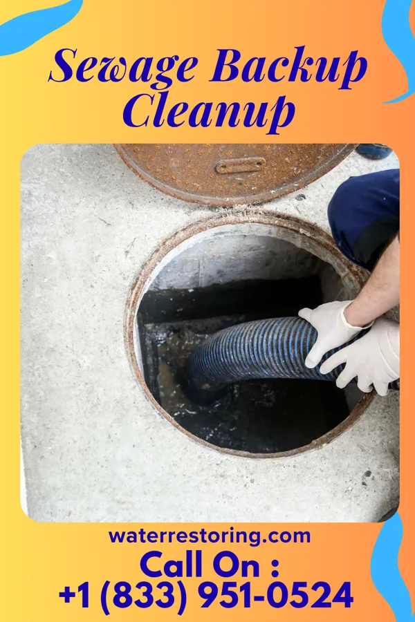 Sewage Backup Cleanup in Stone Mountain, GA